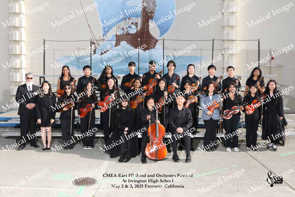 Musical Images